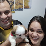 Débora Alves Carloto