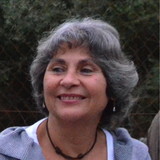 Rosamaria de Medeiros Arnt