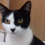 ruth meire correia oliveira