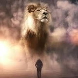 FLAVIA FIDELIS DE SOUZA