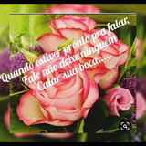 Fernanda Silva alvarindo Oliveira