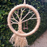 Suéli Bastos de Lacerda