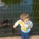 LAERCIO rODRIGO DOS SANTOS