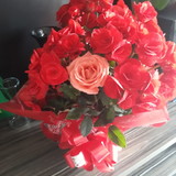 Gislene Gonçalves da Silva