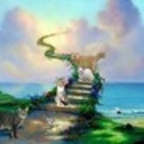 Monica dos Santos França