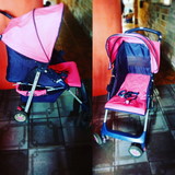 Vania cristina castro de amorim