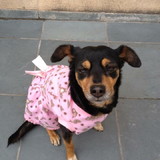 Maria Cecilia S Silva