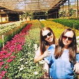 jacqueline silvia dos reis