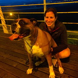 Almofadas divertidas para pets