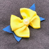 Cibelle Bezerra de Oliveira