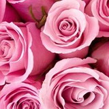 Letícia Nunes Sampaio