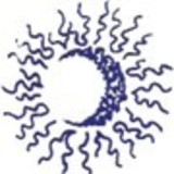 Sóluá Carneiro Gonçalves