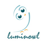 Luminowl