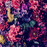 Planners digitais | Raíssa Medrado