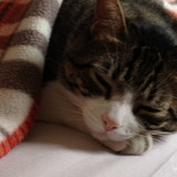 suzana de lourdes silva