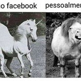 silvia maria de andrade rodrigues