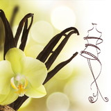 Atelier Chica Baunilha