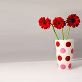 Marilza dos Santos Oliveira