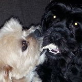 Ir para o perfil do usuário