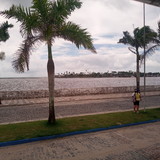 Lucimar Batista Nogueira