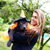 BRANCA MOREIRA FERES