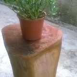 José Walson Ferreira Duarte