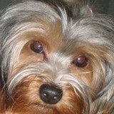 Valeria Eisenlohr Barcellos