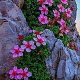 angelita soares dos santos