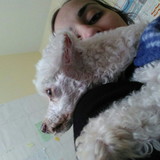 Júlia Bontorin Pampanini