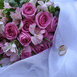 Leticia da Silva Castro Batello