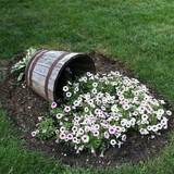 Janete Aparecida dos Santos