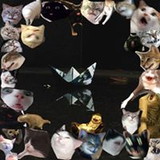 Max well Rodrigues aguiar