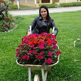 Luciana Perestrelo Escarpini