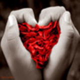 maria claudia brunelo cangerana