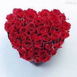 Joselina Maria Ferreira Costa