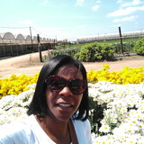 Elenir Angélica Oliveira