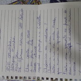 RAFAEL P L GUIMARAES