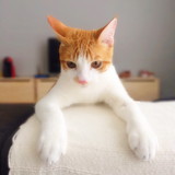 Marilucia Rimes de Carvalho antunes