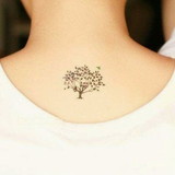 Mariana Macedo de Oliveira