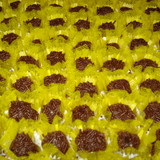 Karla Chiaretto da Silva