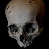 ALEXANDRE CARDOSO DA SILVA