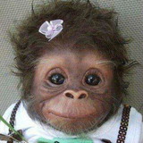 ingrid de castro loos