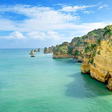 PEDRO R GOMIDES JUNIOR