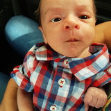 Janaina S. Degaspari