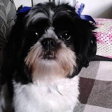 Andreia Silva Santos