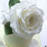 TASSIANE NOGUEIRA MANO