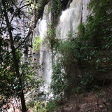 joice santos moreira