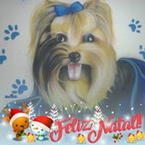 Bichos Caprichos Gama