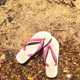 Lujayn al shareh hayek