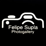 Felipe Edinger Pinto